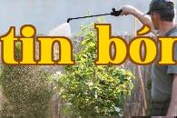 Diệt sâu trên cây ăn quả không cần thuốc trừ sâu
