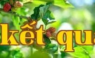 Các biện pháp quản lý vườn cây (dùng địa danh Việt Nam)