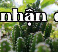 Vạn Trọng Sơn