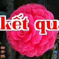 Loạt hoa trà quý giá của Vân Nam (5) – Hoa trà Tùng Tử Lâm