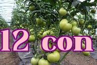 Học cách bón phân hiệu quả khi trồng rau