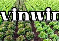 Năm bí quyết nhỏ trong trồng rau
