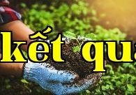 Hai loại dung dịch phân bón giải quyết hiệu quả vấn đề đất